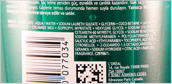 Kérastaste Bain Recharge Ingredients