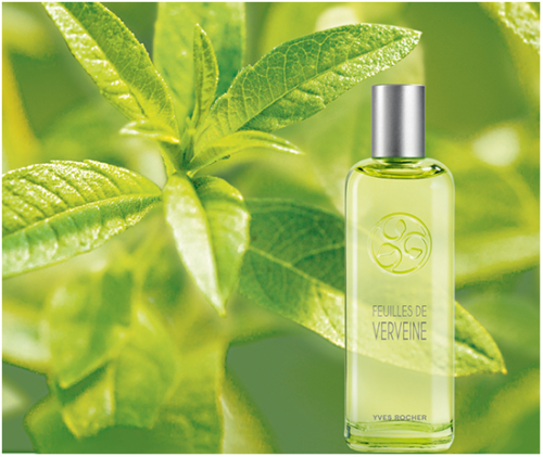 Yves Rocher Verbena perfume